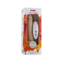 CESAR VIBRATOR & ROTATOR