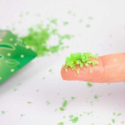 BONBON PETILLANT MENTHE